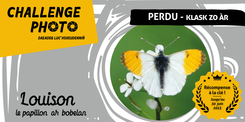 Image d'illustration pour : Challenge photo